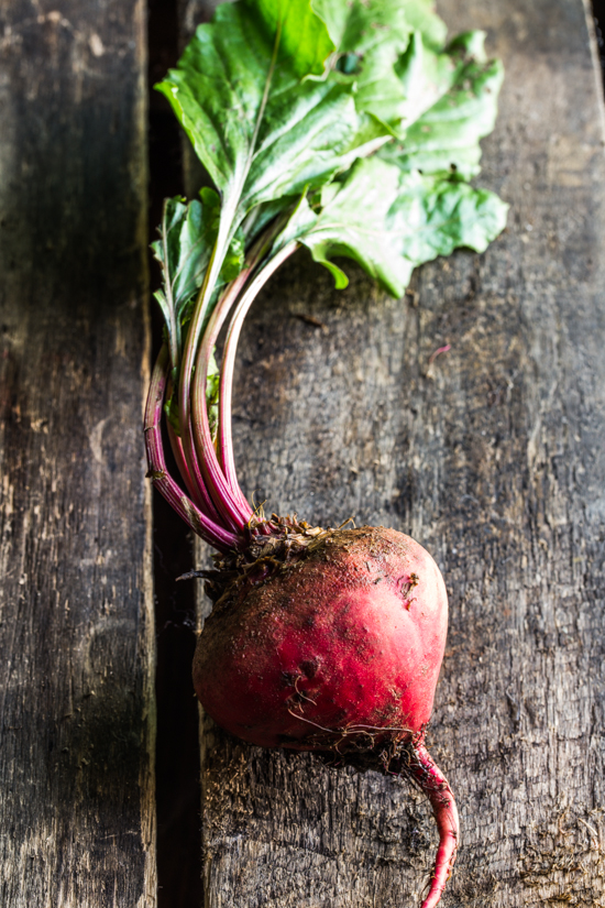 Beets_Emily Caruso_Jelly Toast-0011