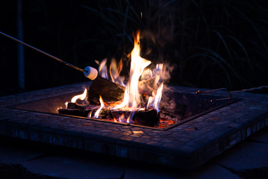 Camping Themed Party_Jelly Toast_Emily Caruso (31 of 31)