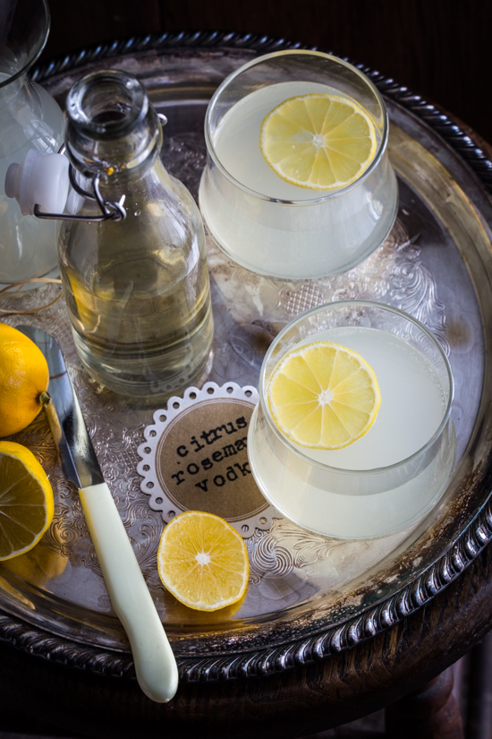 citrus rosemary vodka spritzer-9676