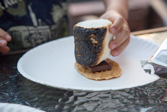 Roasted Berry S'mores by Jelly Toast