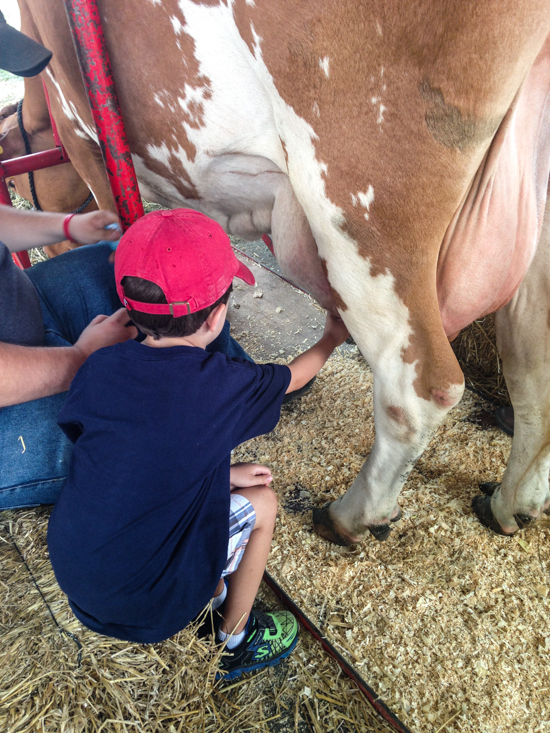 Ohio State Fair Recap