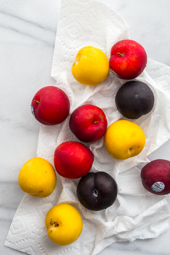 Ginger Plum Sangria | www.jellytoastblog.com