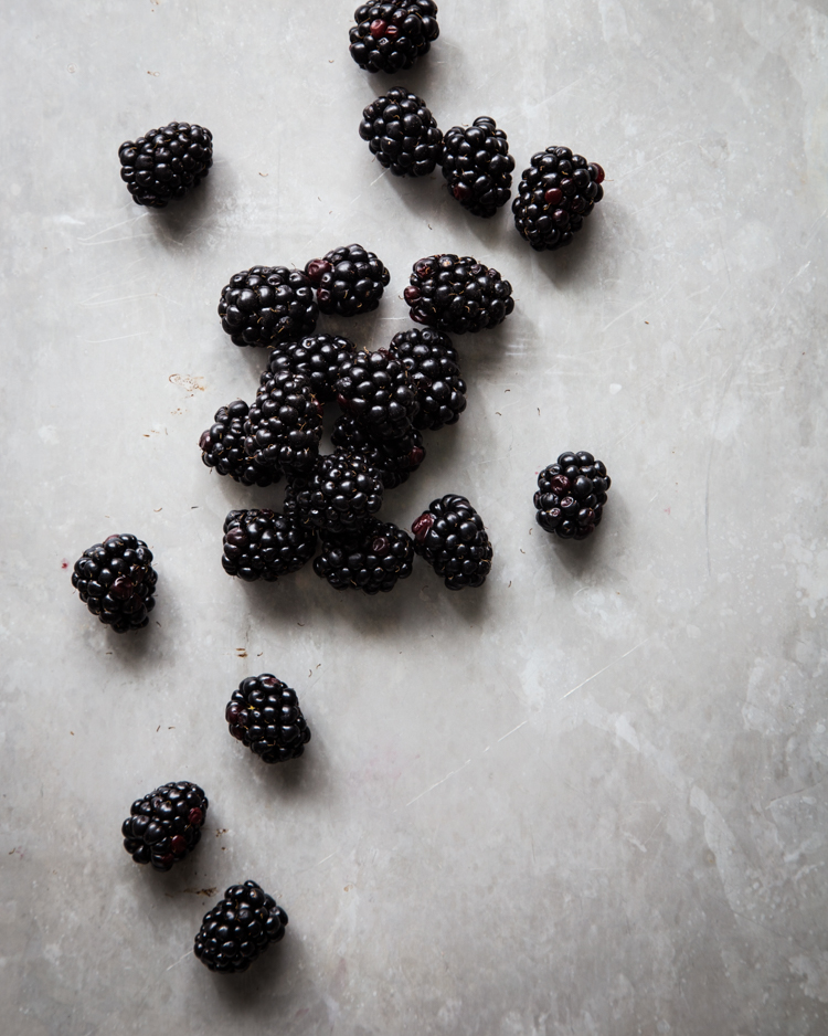 Blackberry Mint Julep | JellyToastBlog.com