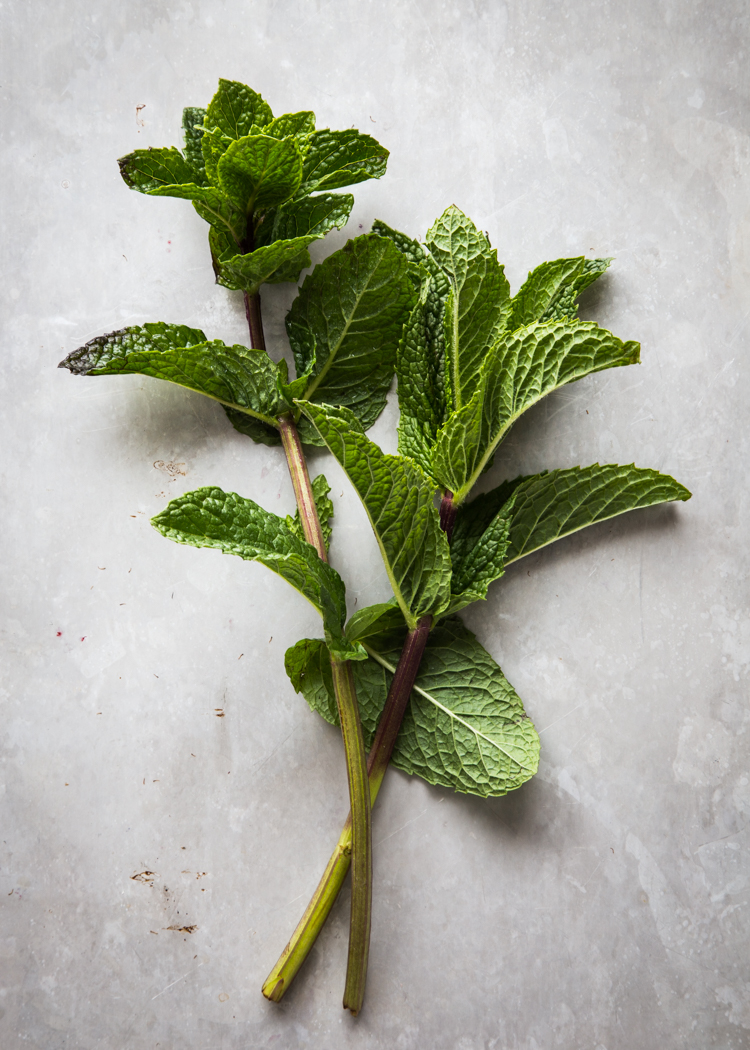 Blackberry Mint Julep | JellyToastBlog.com