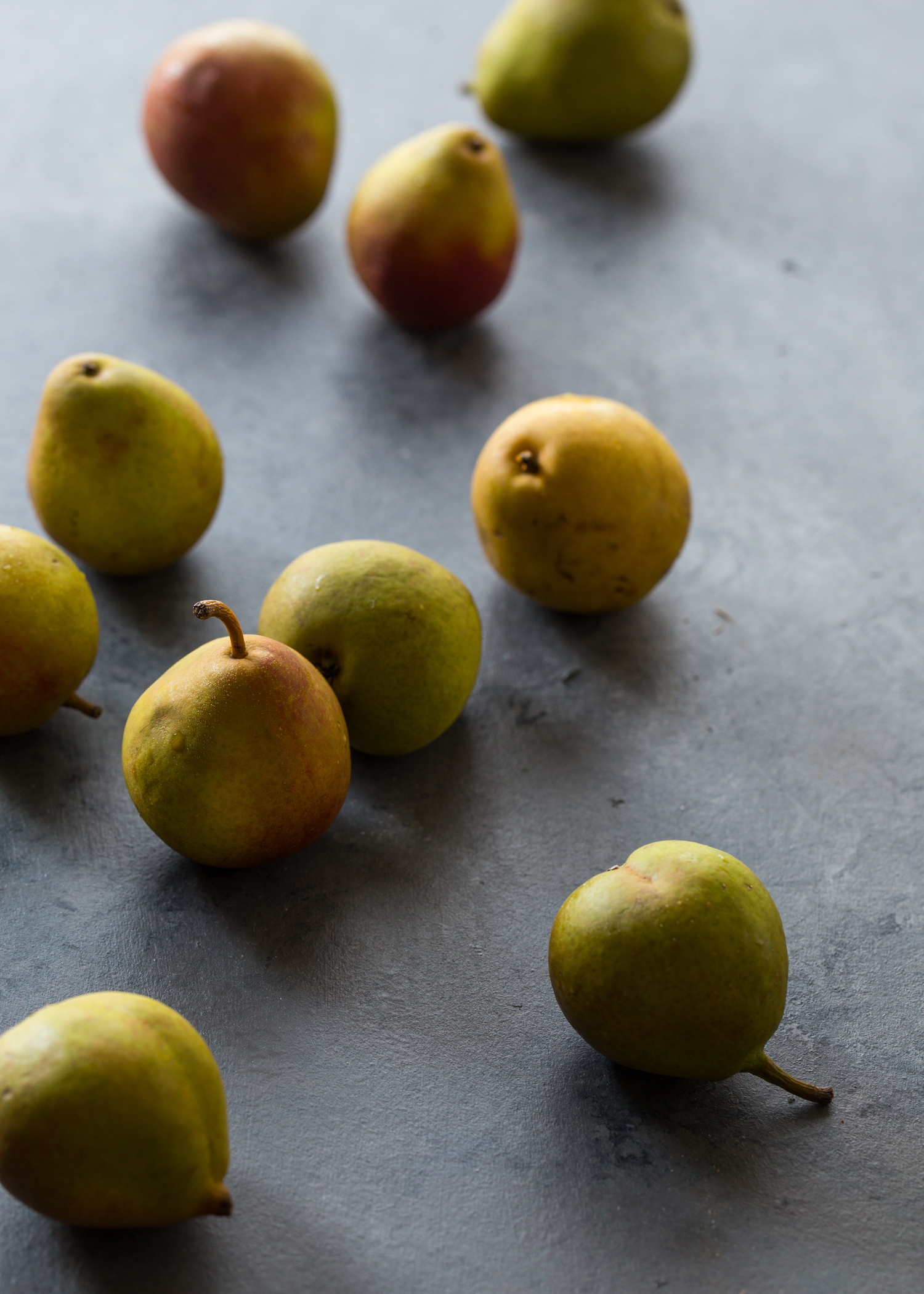 Seckel Pears | JellyToastBlog.com